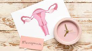 Menopause: Understanding the Transition